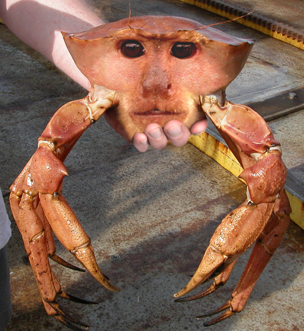 Photoshop Design by MA1947 for DesignCrowd (Community Contests) | Design #9060419