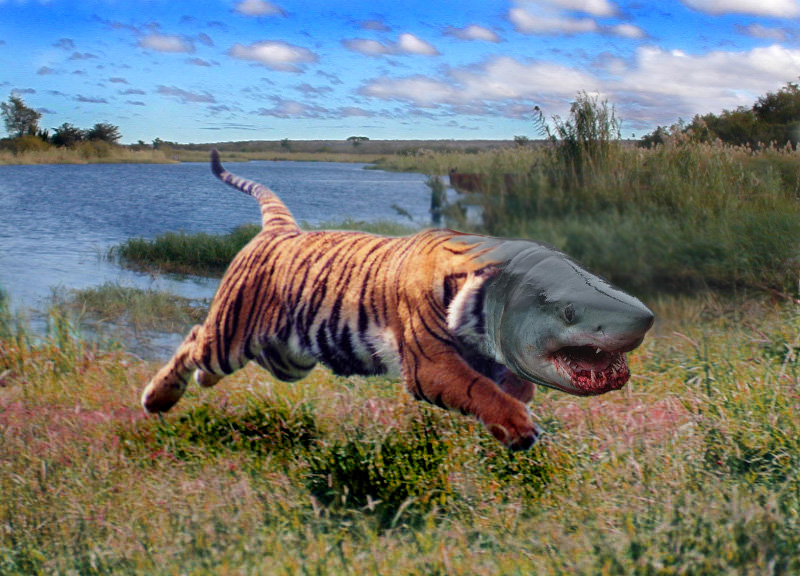 Photoshop Design by phisheye for DesignCrowd (Community Contests) | Design #9060453