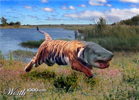 Photoshop Design by phisheye