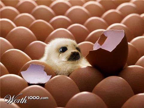 Photoshop Design by funky123