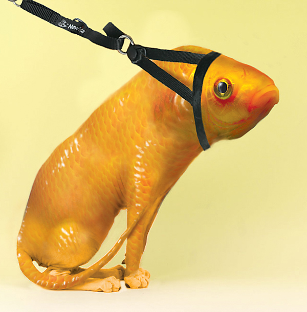 Photoshop Design by lazyrevolutionary for DesignCrowd (Community Contests) | Design #9060407