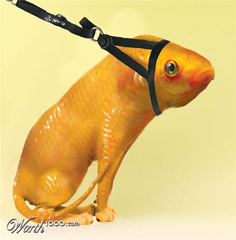 Photoshop Design by lazyrevolutionary