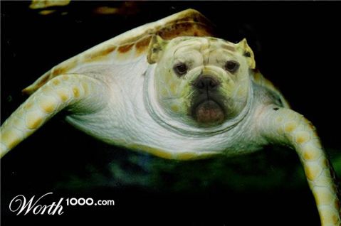 Photoshop Design by sloanyo