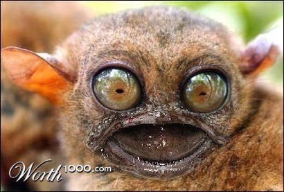 Photoshop Design by Garsaelon