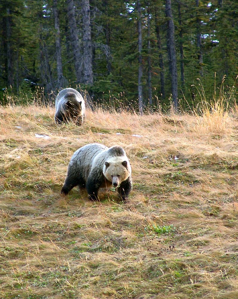 Photography by whlutz for DesignCrowd (Community Contests) | Design #9058839