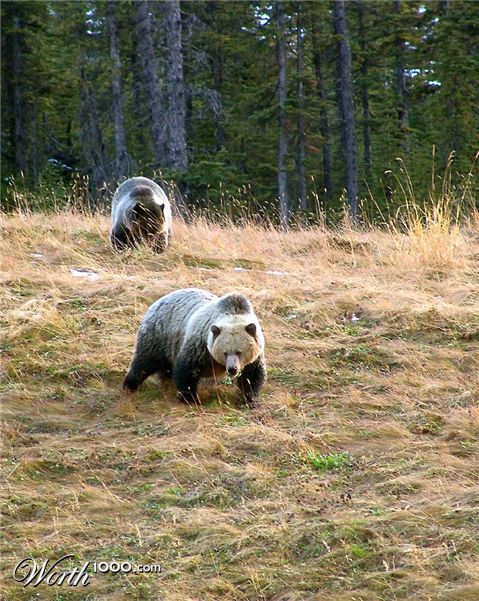 Photography by whlutz