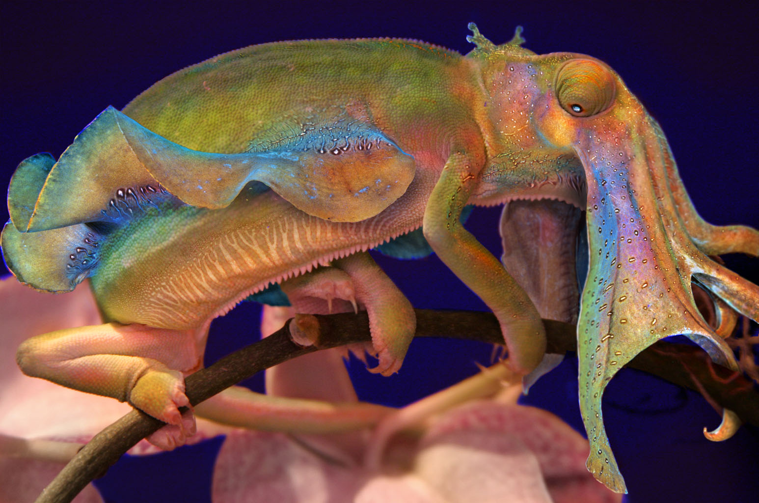 Diseño de Photoshop por Uberwench para DesignCrowd (Community Contests) | Diseño #9060364