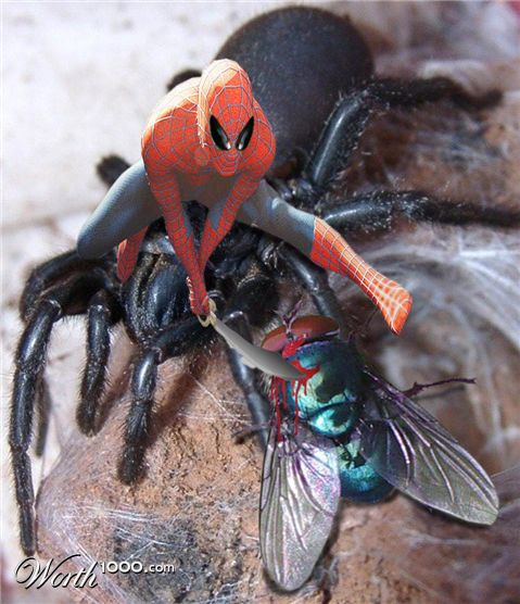 Photoshop Design by EyEars