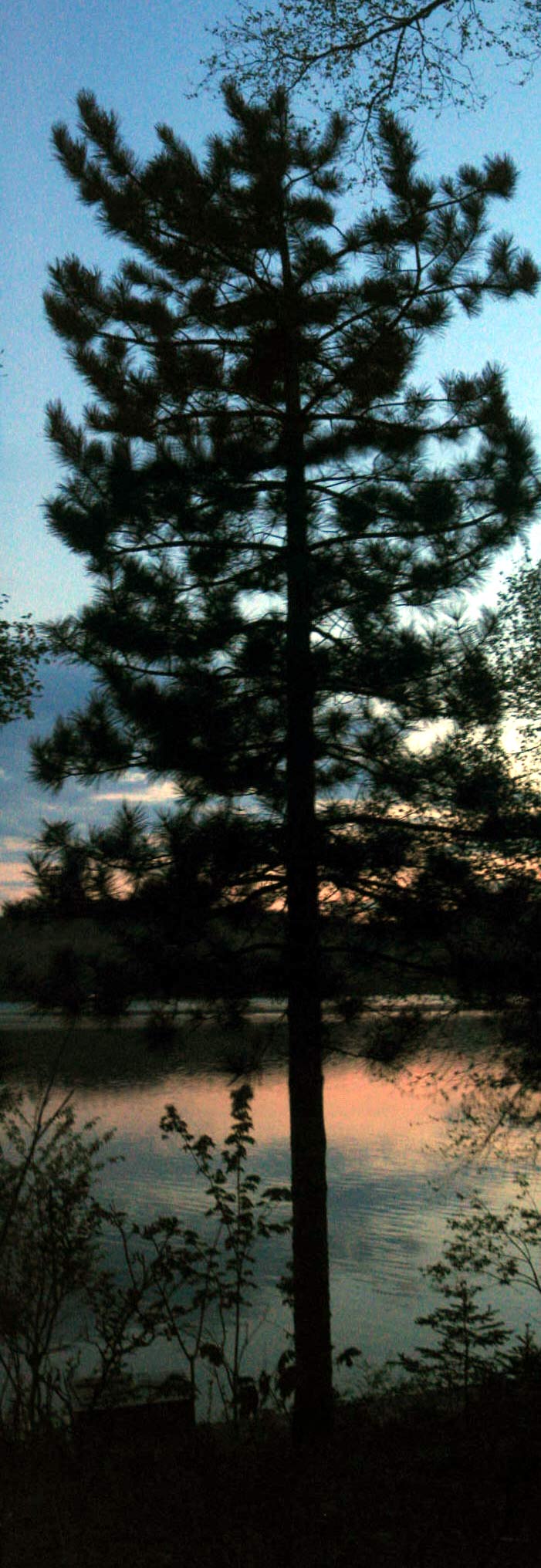 Photography by DoubleDizzle for DesignCrowd (Community Contests) | Design #9067728