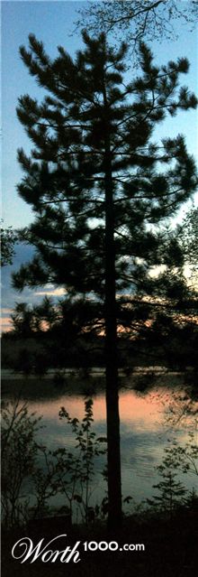 Photography by DoubleDizzle