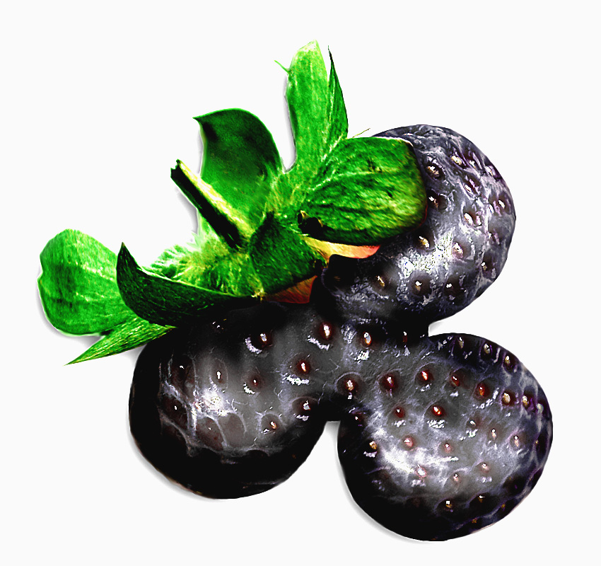 Photoshop Design by cromlechi for DesignCrowd (Community Contests) | Design #9059412