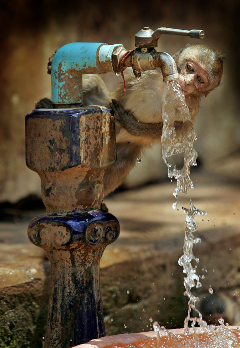 Diseño de Photoshop por GTAPEX para DesignCrowd (Community Contests) | Diseño #9059469