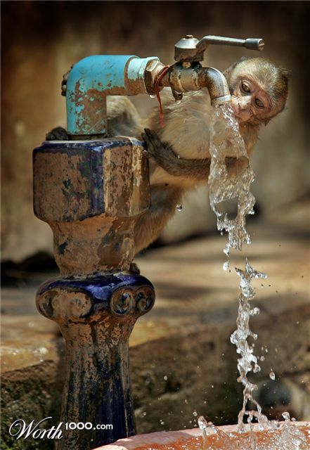 Photoshop Design by GTAPEX