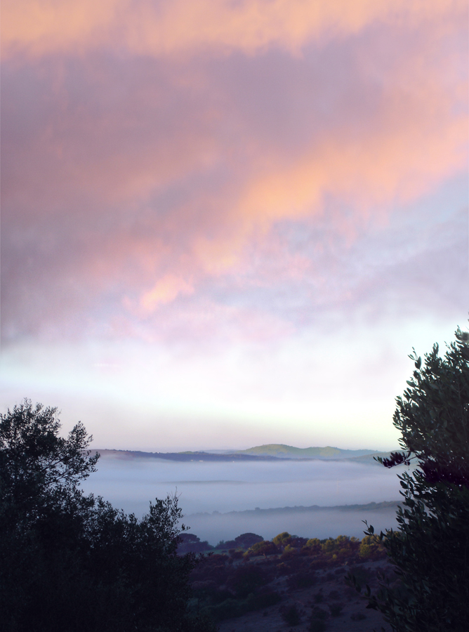 Photography by clloyd for DesignCrowd (Community Contests) | Design #9067711