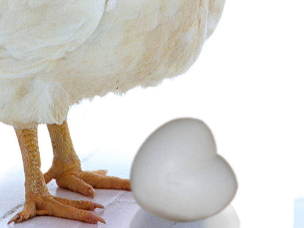 Photoshop Design by tehjoker for DesignCrowd (Community Contests) | Design #9059445