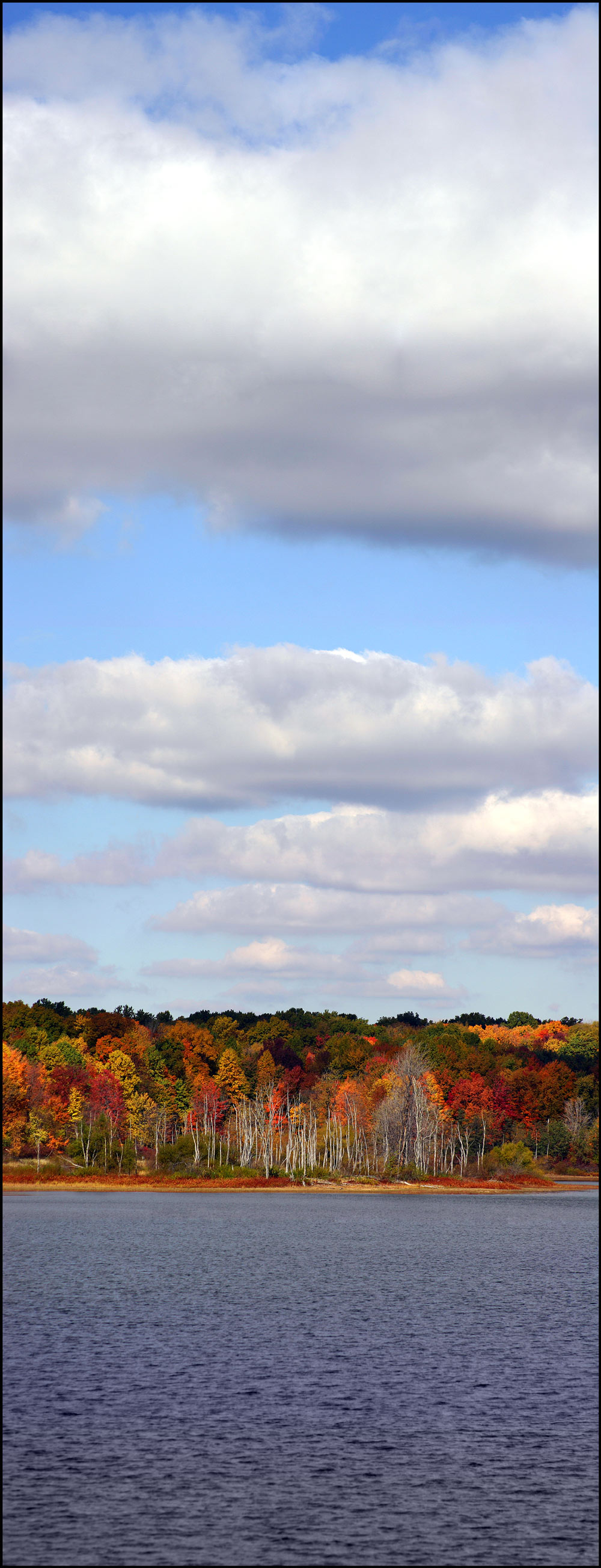 Fotografie von chortler für DesignCrowd (Community Contests) | Design #9067784