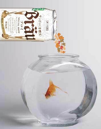 Design Photoshop par aff1993 pour DesignCrowd (Community Contests) | Design #9058172