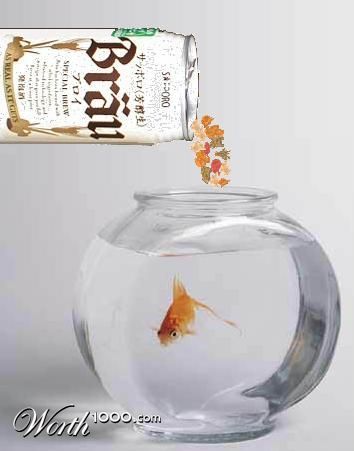 Photoshop Design by aff1993