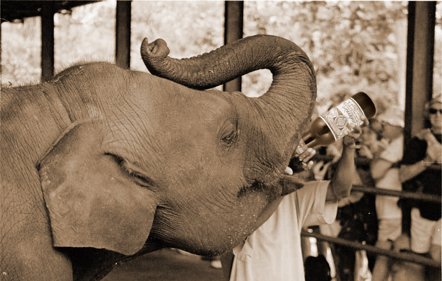 Photoshop-Design von scotty2hotty für DesignCrowd (Community Contests) | Design #9058102