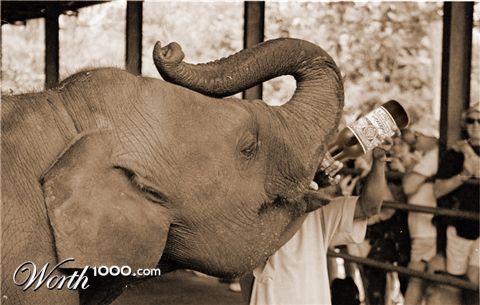 Photoshop Design by scotty2hotty