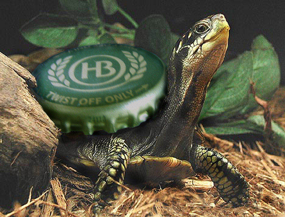 Diseño de Photoshop por EyEars para DesignCrowd (Community Contests) | Diseño #9058117