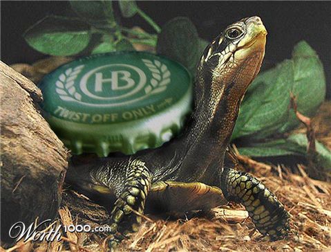 Photoshop Design by EyEars