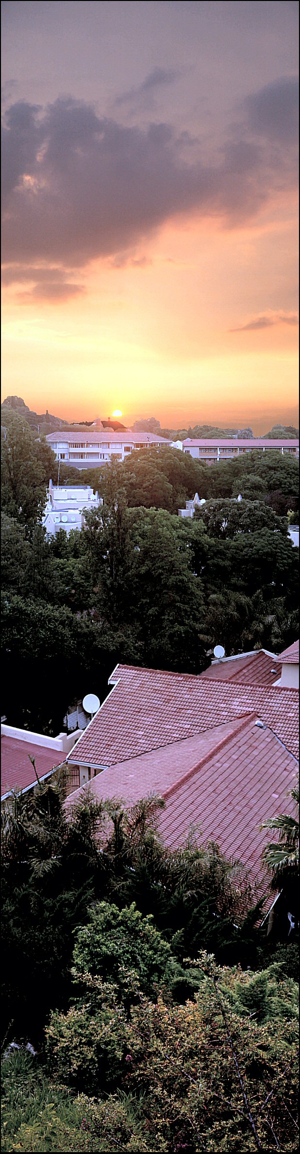 Photography by Juicer for DesignCrowd (Community Contests) | Design #9067762