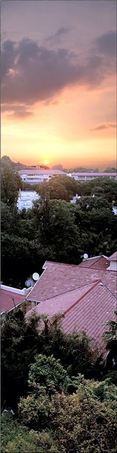 Photography by Juicer