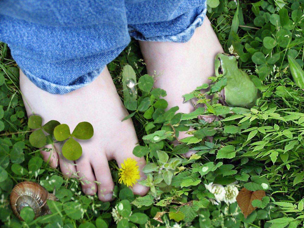 Diseño de Photoshop por EyEars para DesignCrowd (Community Contests) | Diseño #9059430