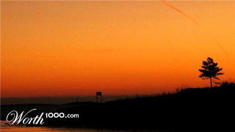 Photography by Torsti