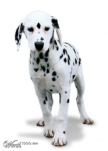 Photoshop Design by LordShaitan