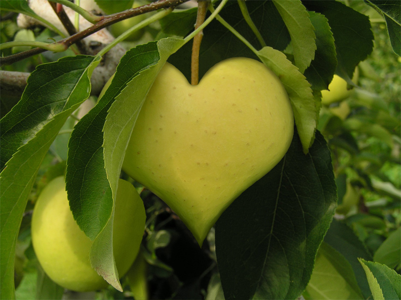 Photoshop Design by ManFromSun for DesignCrowd (Community Contests) | Design #9059557