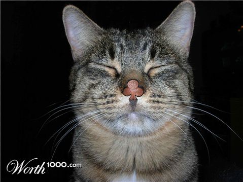 Photoshop Design by FrenchieGirl