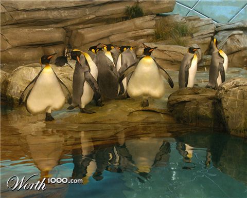 Photoshop Design by Tuuluuwag