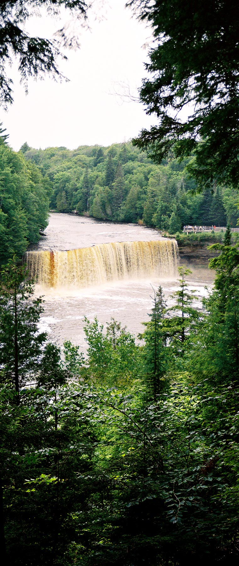 Photography by obiqui for DesignCrowd (Community Contests) | Design #9067832