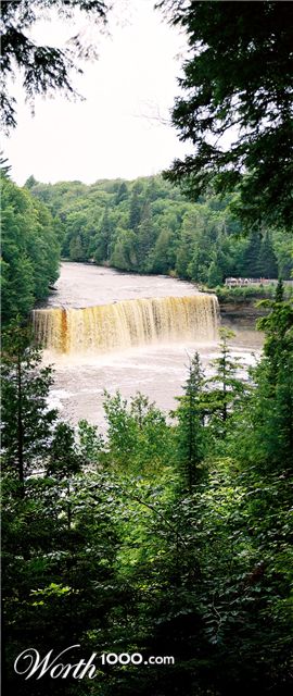 Photography by obiqui