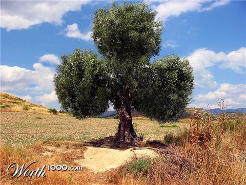 Photoshop Design by yansiatko