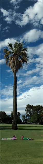 Photography by kimbomac