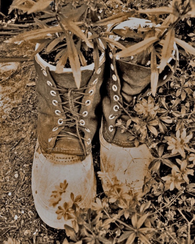 Photography by Darkdeacon for DesignCrowd (Community Contests) | Design #9047845