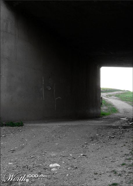 Photography by Budmulla