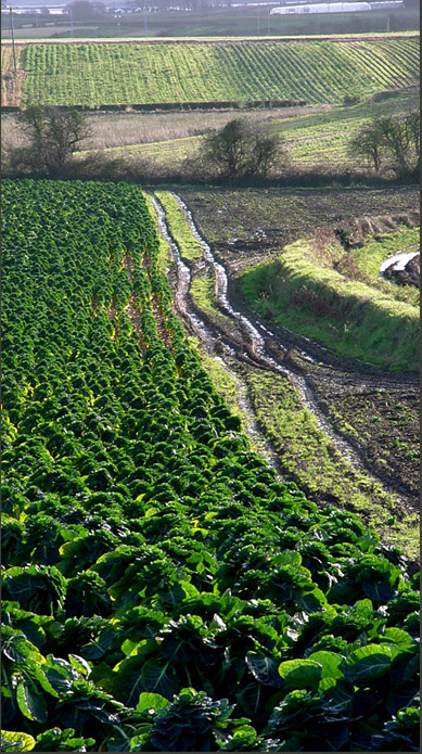 Fotografía por tgeleyn para DesignCrowd (Community Contests) | Diseño #9067830