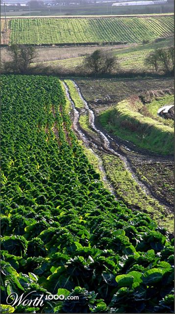 Photography by tgeleyn