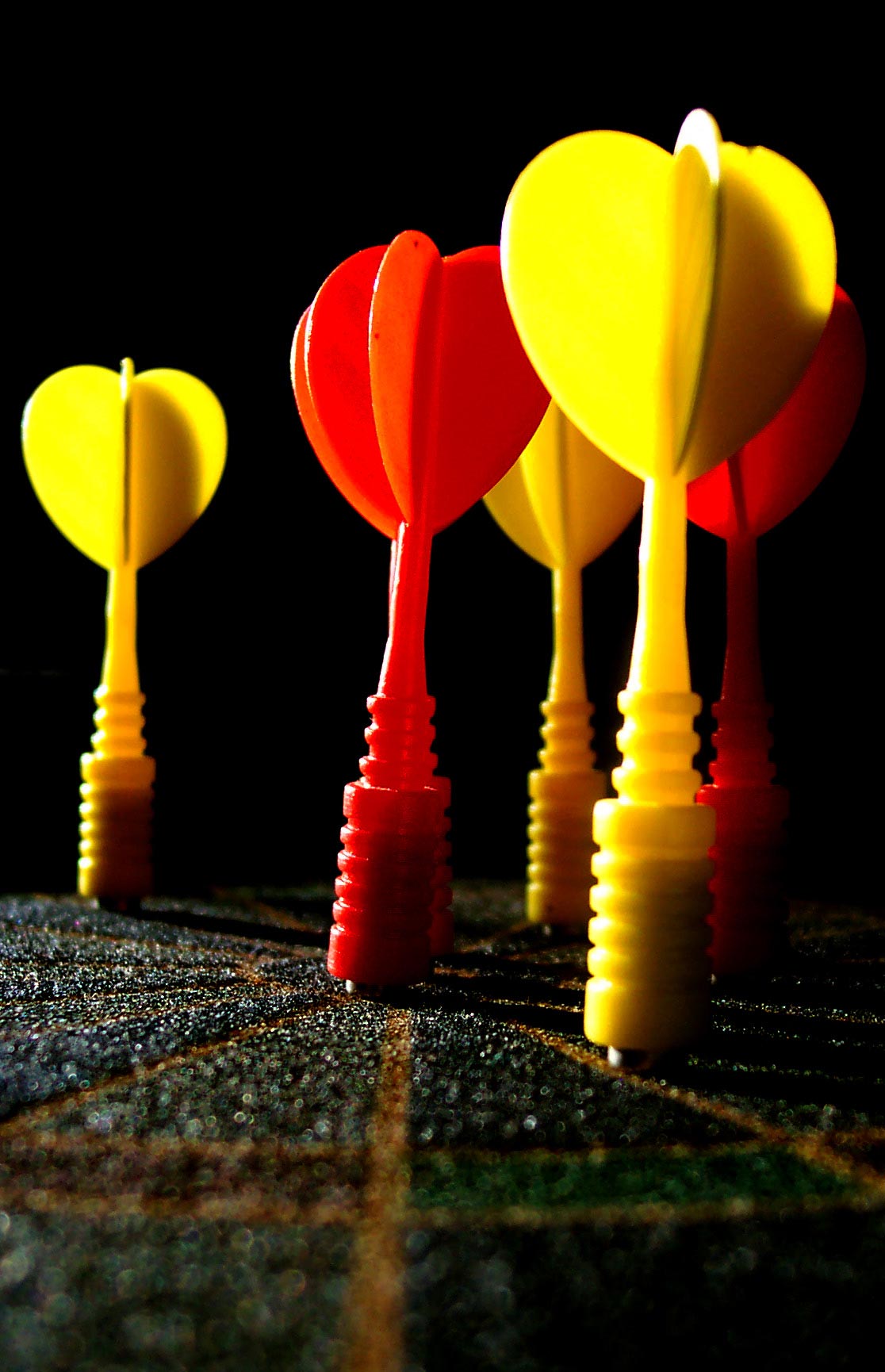 Photography by TDSwhite for DesignCrowd (Community Contests) | Design #9058204