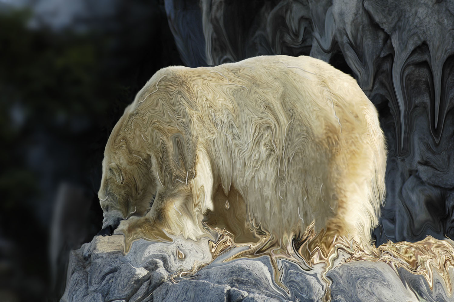 Photoshop Design by Jakndi for DesignCrowd (Community Contests) | Design #9059653