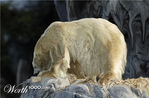 Photoshop Design by Jakndi