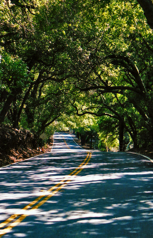 Photography by Jpalacio for DesignCrowd (Community Contests) | Design #9060979