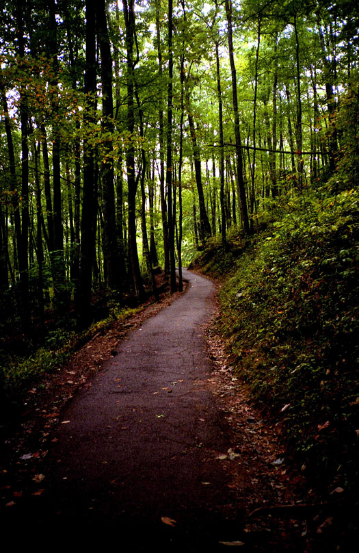 Photography by tigercrosse for DesignCrowd (Community Contests) | Design #9060996