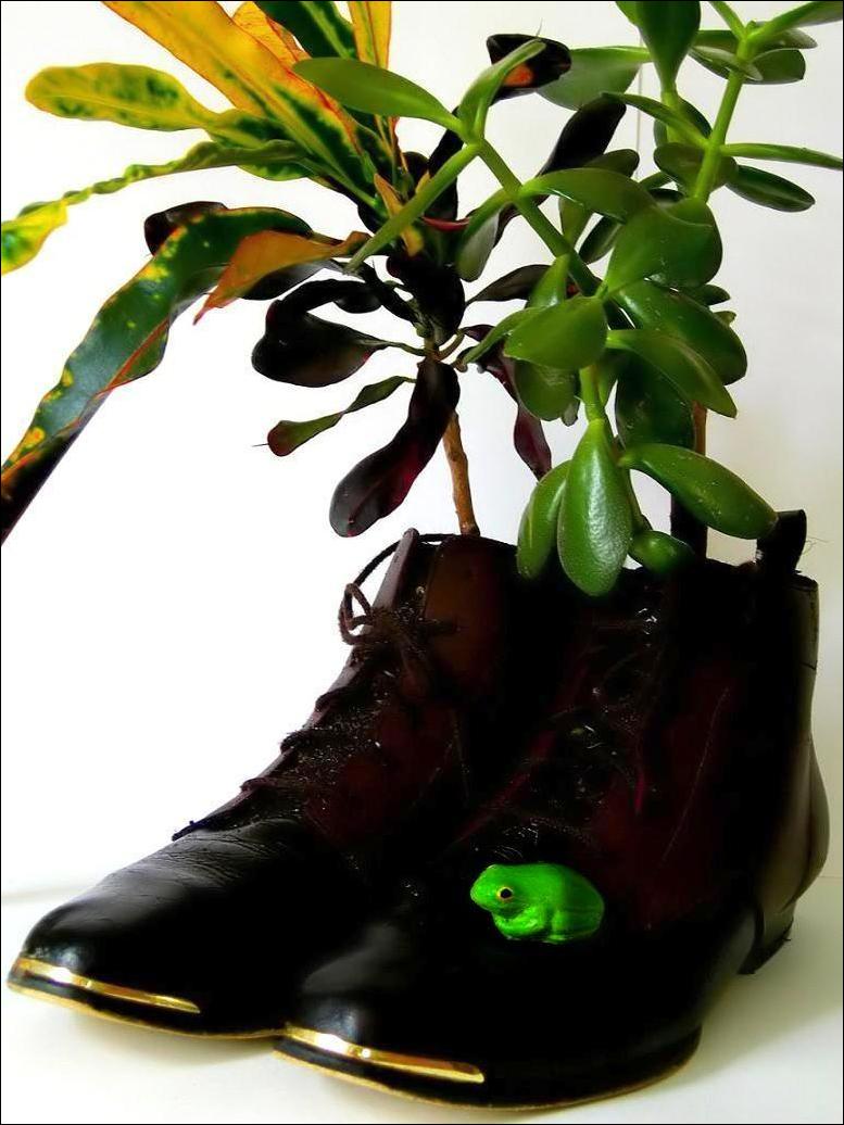 Fotografie von Isabella2006 für DesignCrowd (Community Contests) | Design #9047860