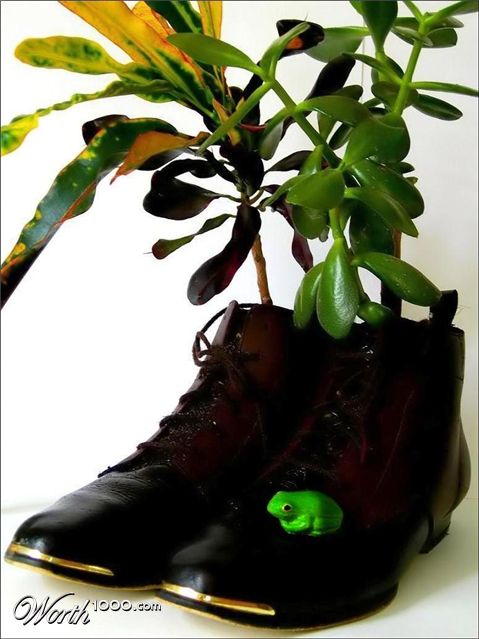 Photography by Isabella2006