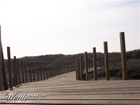 Photography by SuperWebon